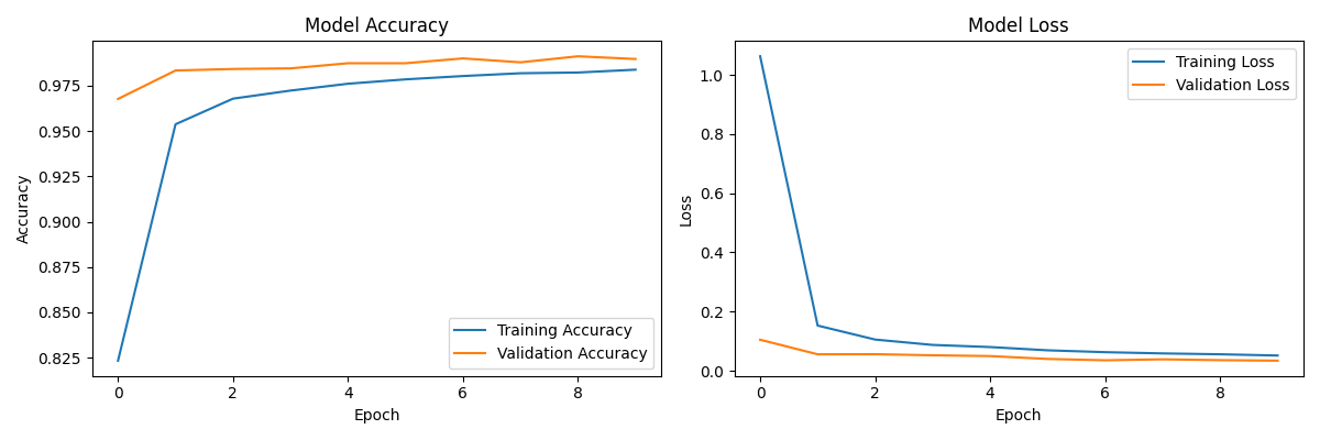 Training History