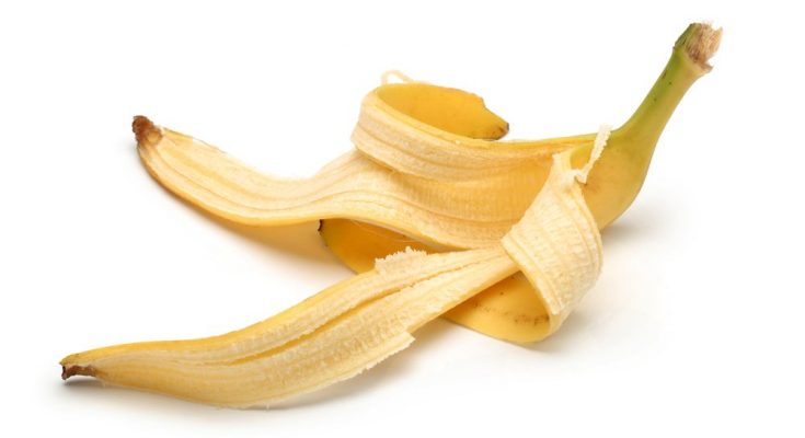 FreshBanana