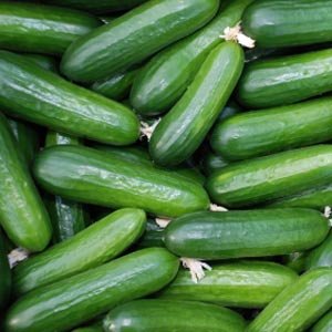 FreshCucumber