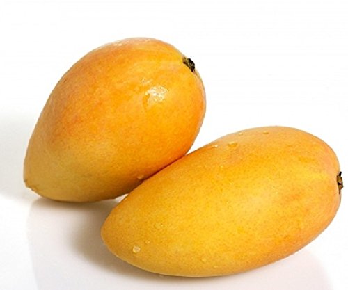 FreshMango