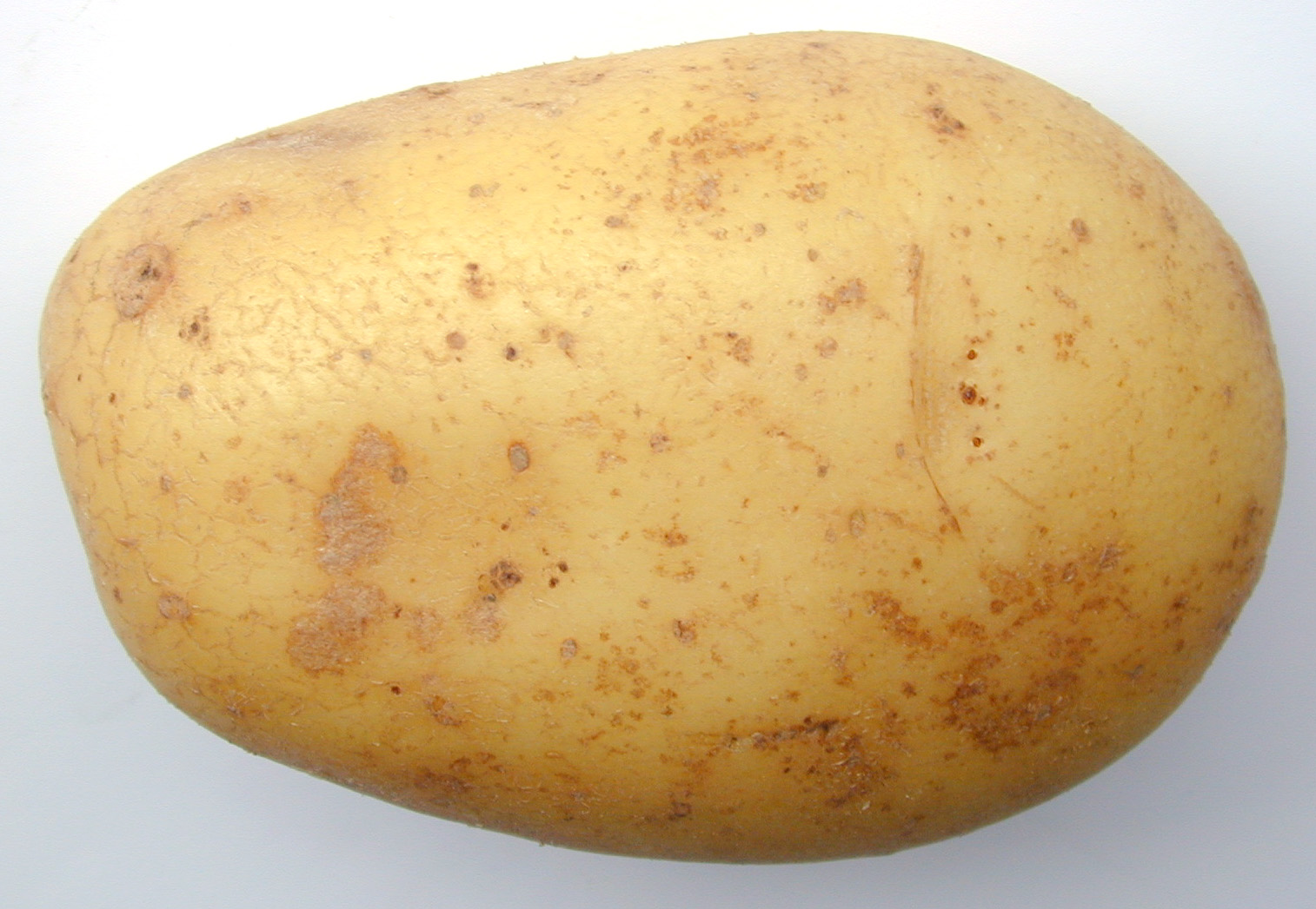 FreshPotato