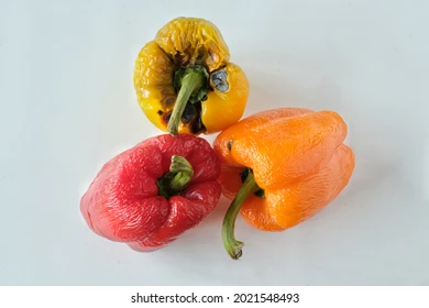 RottenBellpepper