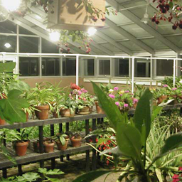 04_06Greenhouse.jpg