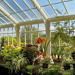 2_wallington_greenhouse_470x353.jpg