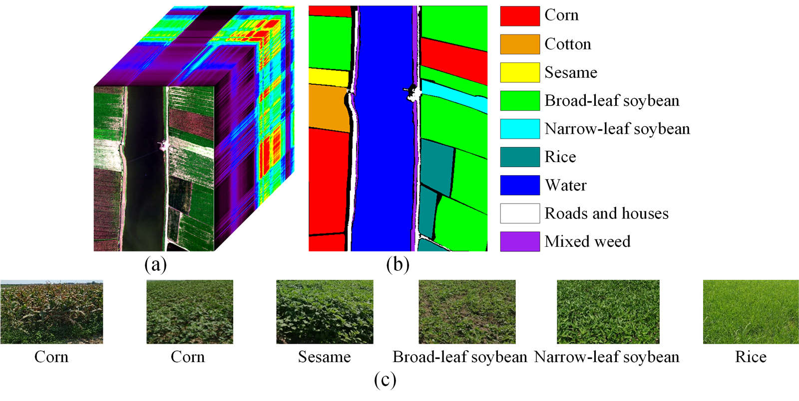 The WHU-Hi-LongKou dataset.