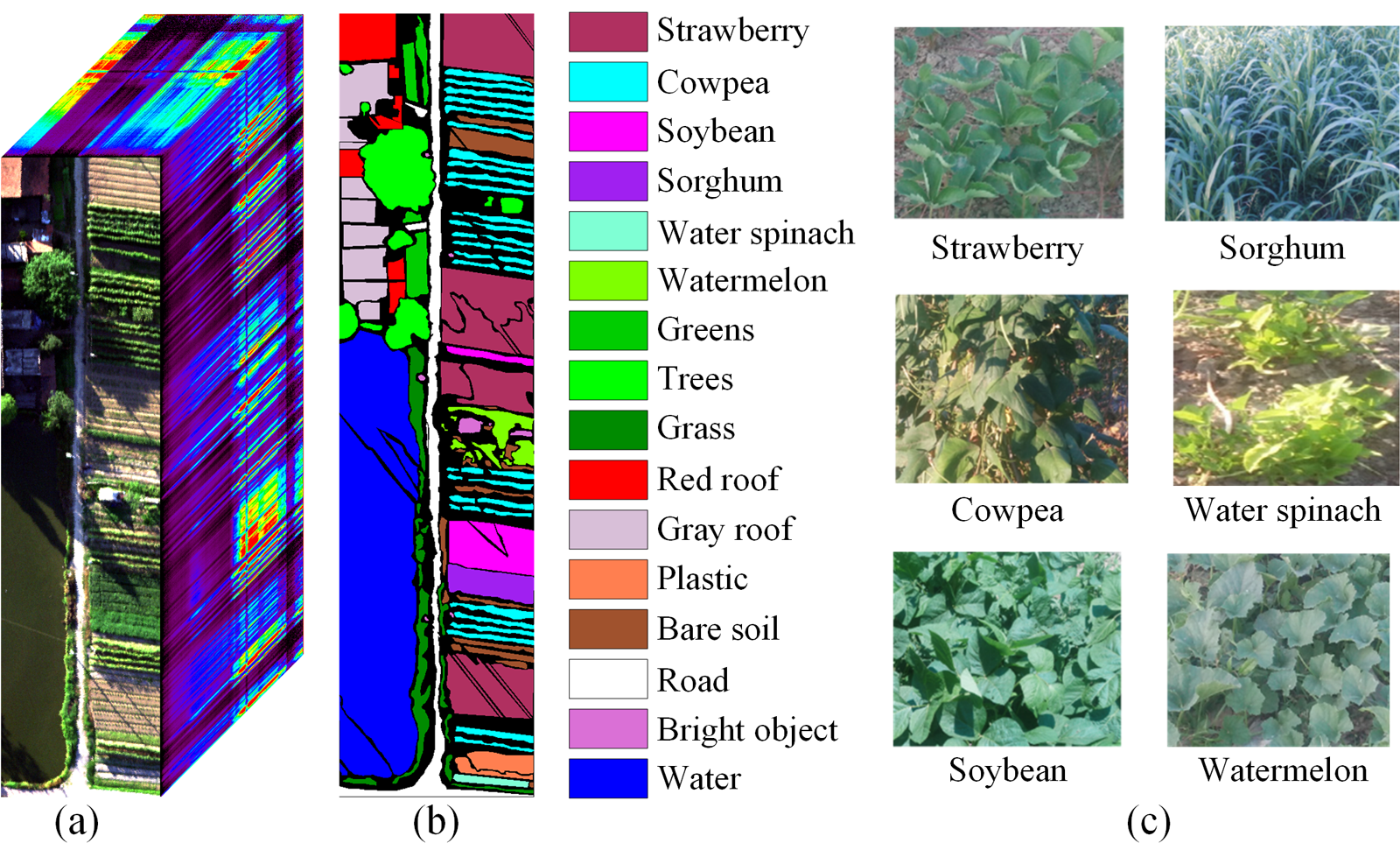 The WHU-Hi-HanChuan dataset.