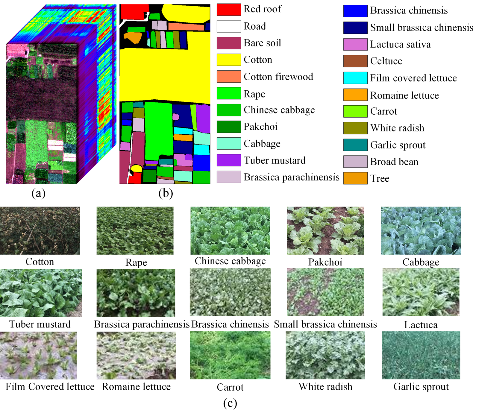 The WHU-Hi-HongHu dataset.