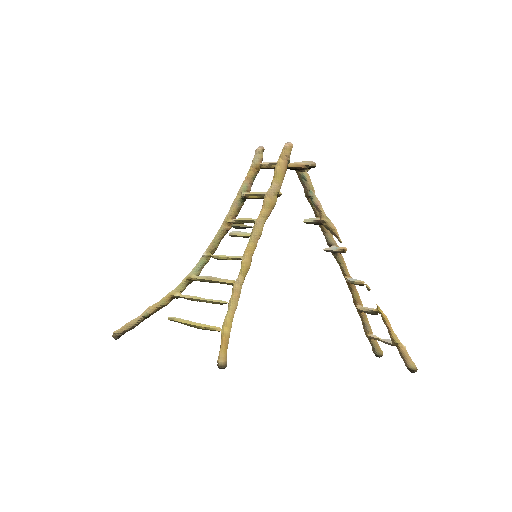 a_bamboo_ladder.png