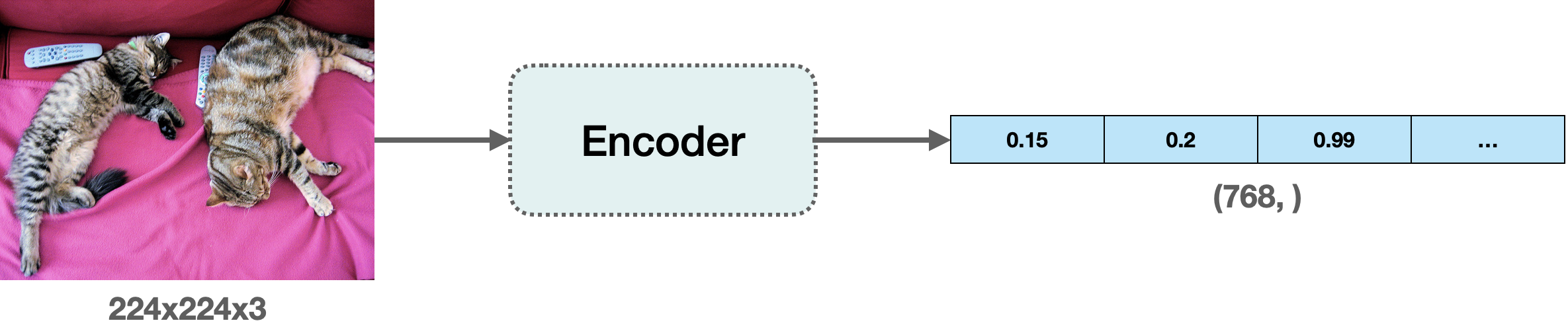 embeddings.png