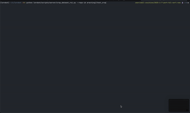 crop_dataset.gif