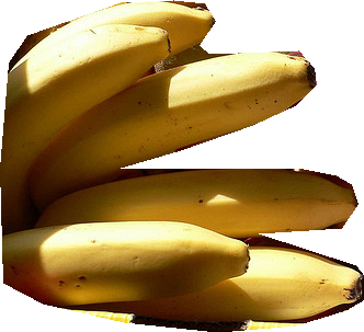 000000385864_segmented_0.png