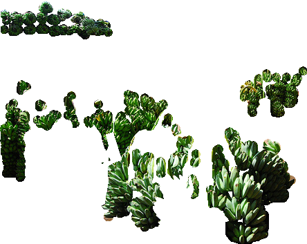 000000410004_segmented_19.png