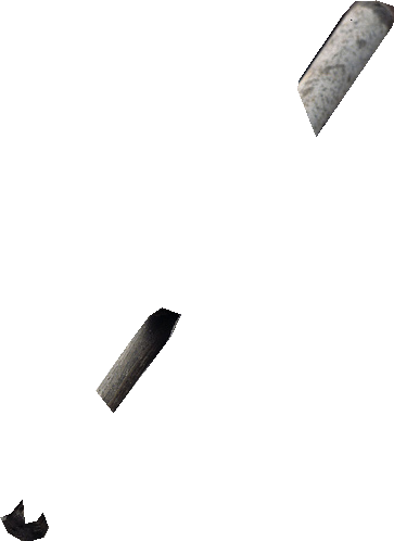 000000003225_segmented_1.png