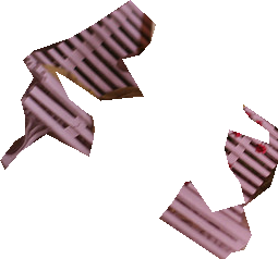 000000052320_segmented_3.png