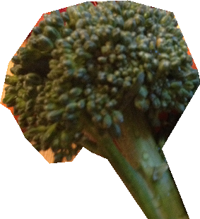 000000329508_segmented_0.png