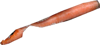 000000315744_segmented_0.png