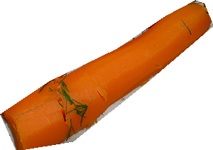 000000563444_segmented_3.png