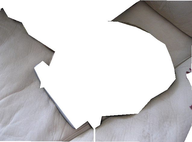 000000087232_segmented_1.png