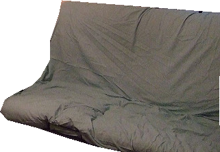 000000457705_segmented_0.png