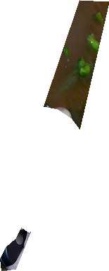 000000246924_segmented_1.png