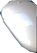 000000505953_segmented_0.png