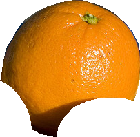 000000558090_segmented_0.png