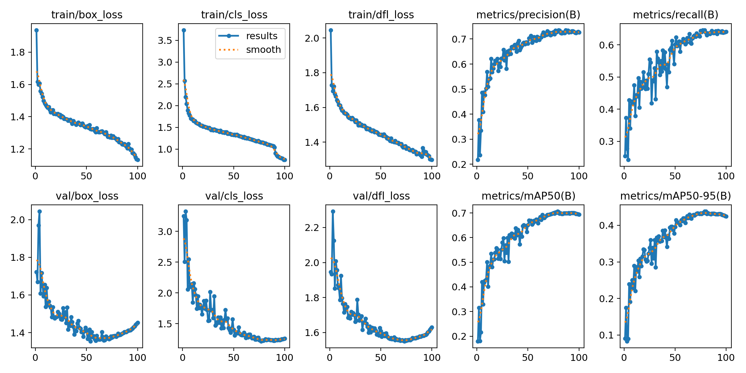 Training and Validation Losses