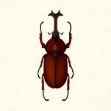 Beetle-Train (1870).jpeg