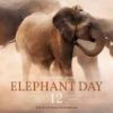 Elephant-Train (1087).jpeg