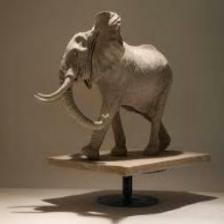 Elephant-Train (1136).jpeg