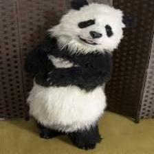 Panda (2612).jpeg
