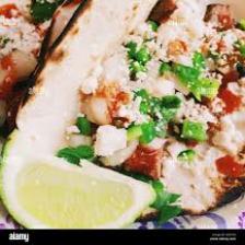 Taco-Train (1153).jpeg