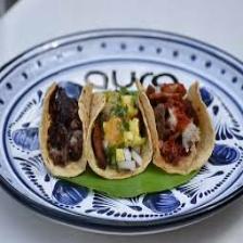 Taco-Train (1156).jpeg