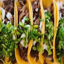 Taco-Train (14).jpeg