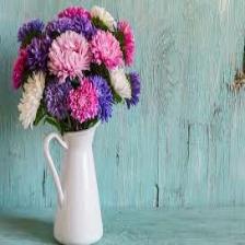 Aster-Train (1).jpeg