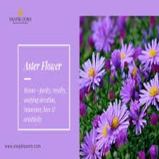 Aster-Train (1434).jpeg