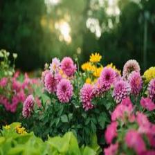 Aster-Train (2).jpeg