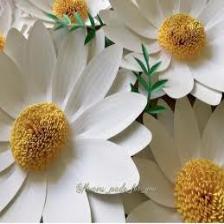 Daisy-Train (1075).jpeg