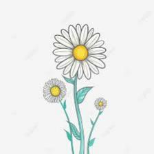 Daisy-Train (1315).jpeg