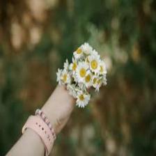 Daisy-Train (282).jpeg