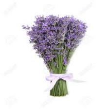 Lavender-Train (1539).jpeg