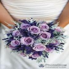 Lavender-Train (1687).jpeg