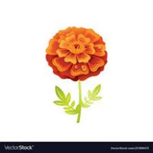 Marigold-Train (1316).jpeg