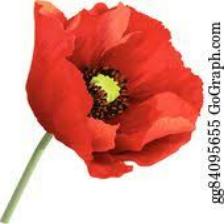 Poppy-Train (1116).jpeg