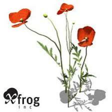 Poppy-Train (1119).jpeg