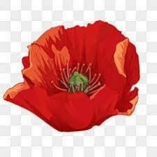 Poppy-Train (1435).jpeg
