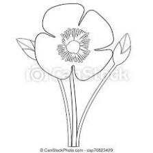 Poppy-Train (1489).jpeg