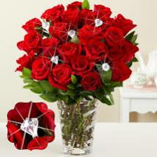 Rose-Train (1186).jpeg