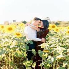 Sunflower-Train (1008).jpeg