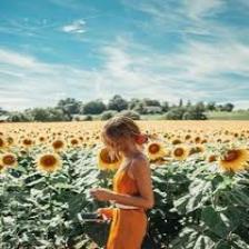 Sunflower-Train (1130).jpeg